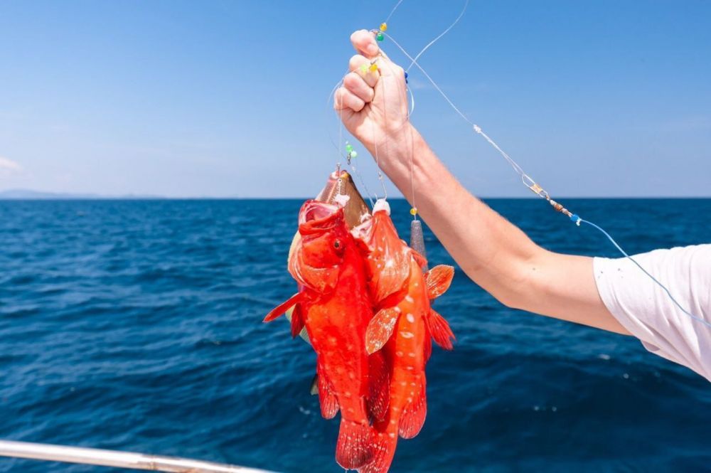 KRAM NM01 на Пхукете - 22000฿ - Ref: 8136 фото 2