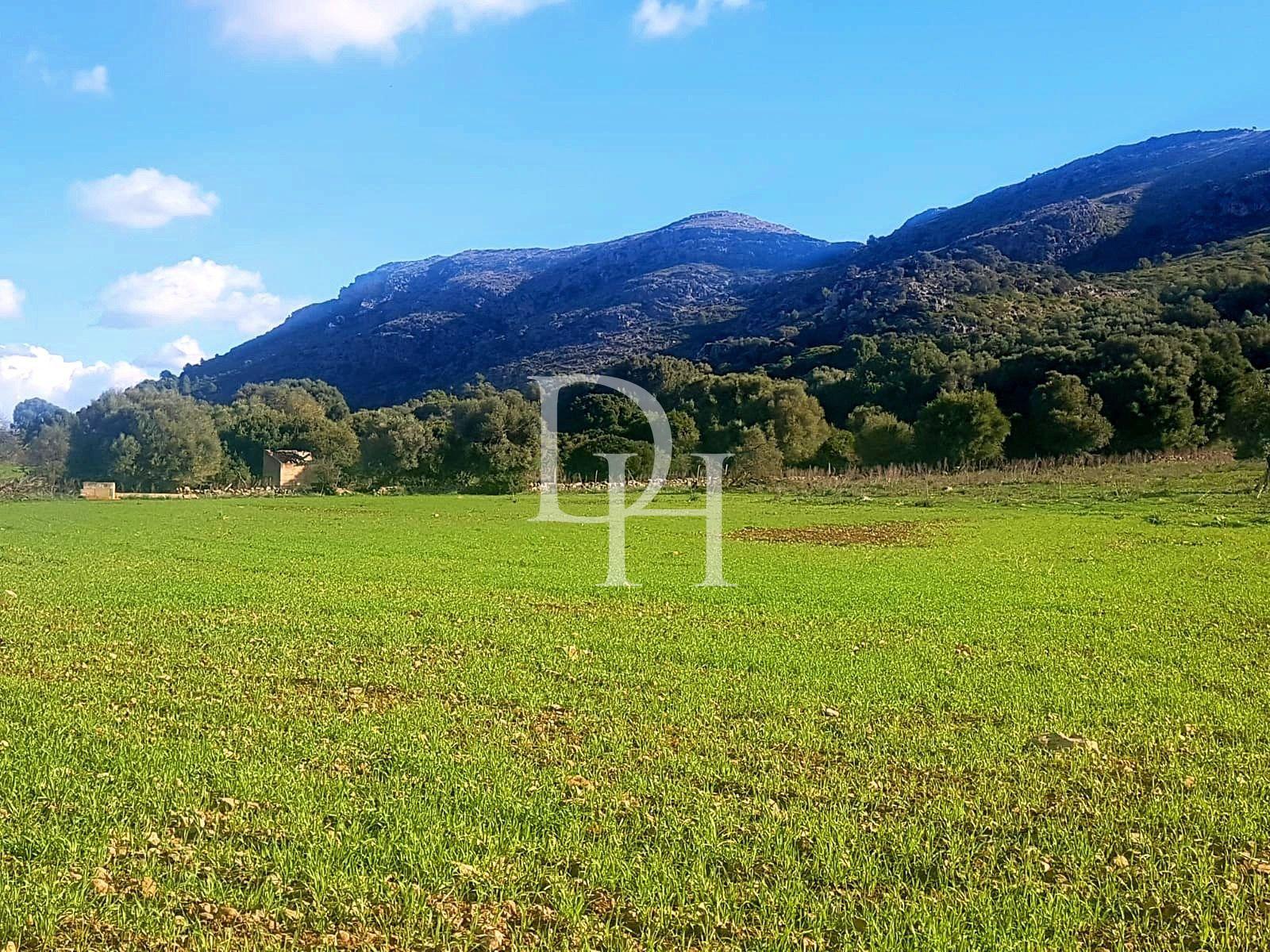 Земля, Испания, Балеарские острова, Пальма-де-Майорка, 650 000 € фото 1