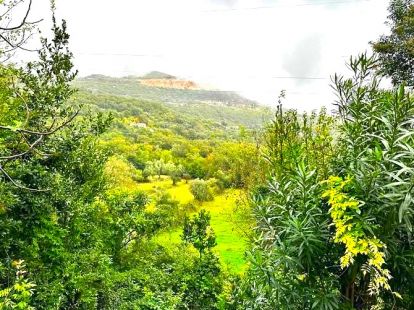 Дом / Коттедж, Черногория, О. Херцег-Нови, Герцег-Нови, 127 000 € фото 11