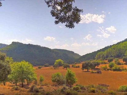 Дом / Вилла, Испания, Балеарские острова, Пальма-де-Майорка, 4 900 000 € фото 23