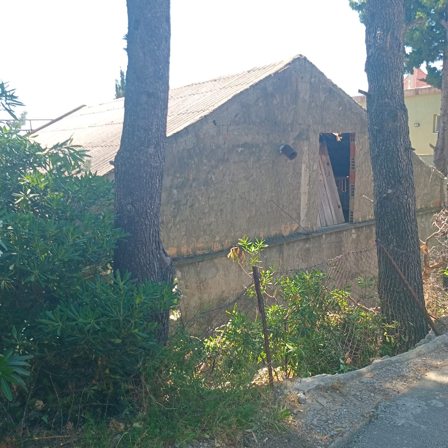 Дом / Коттедж, Черногория, О. Бар, Сутоморе, 85 000 € фото 2