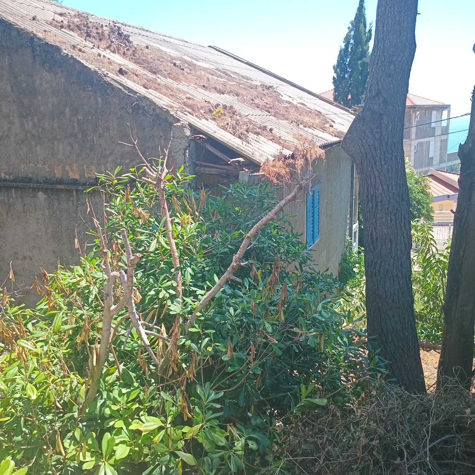 Дом / Коттедж, Черногория, О. Бар, Сутоморе, 85 000 € фото 3