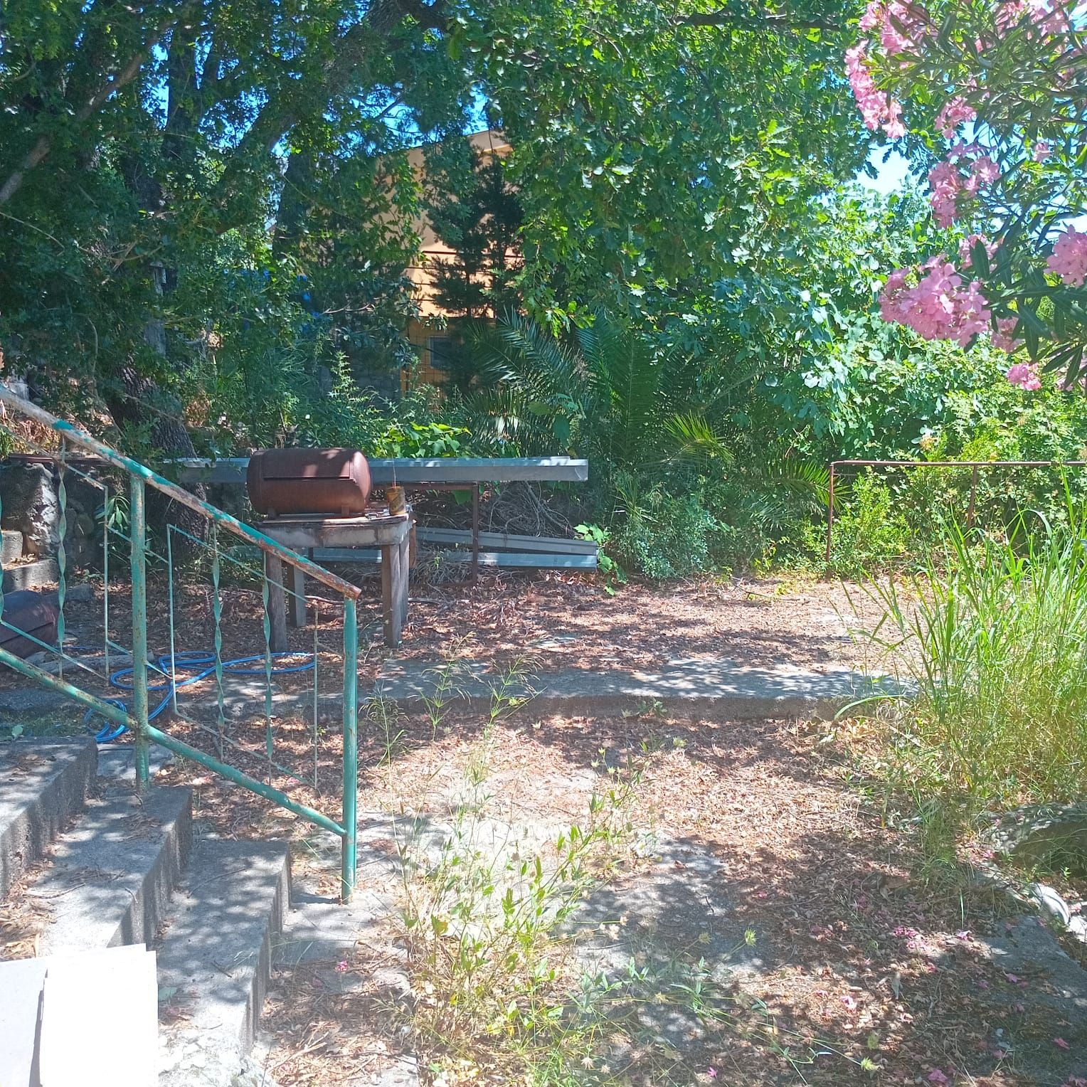 Дом / Коттедж, Черногория, О. Бар, Сутоморе, 85 000 € фото 5