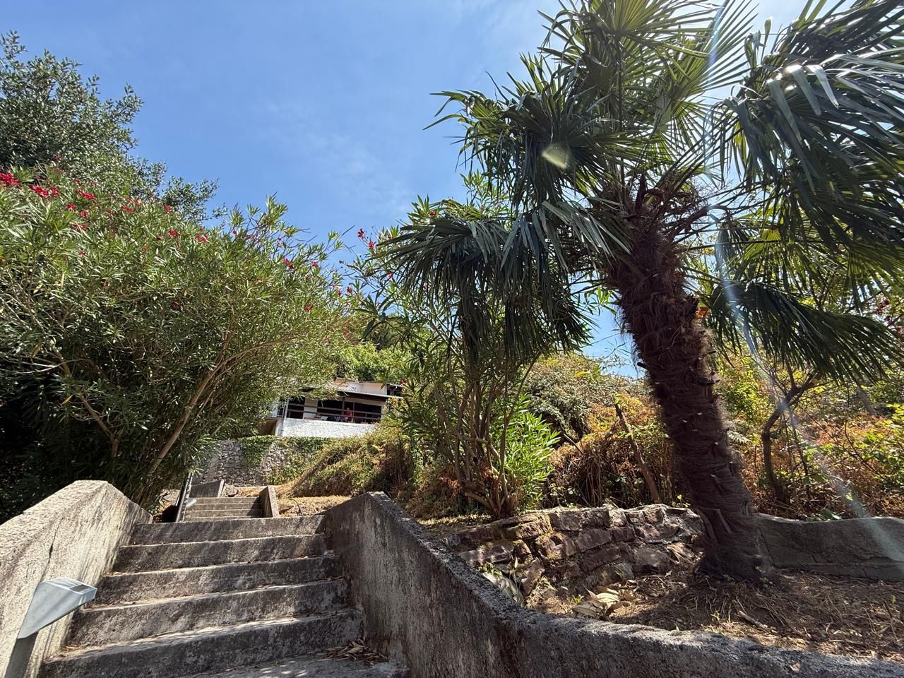 Дом / Коттедж, Черногория, О. Бар, Сутоморе, 140 000 € фото 2