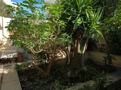 Апартаменты, Греция, Пелопоннес, Лутраки, 250 000 € фото 12