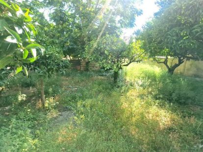 Дом, Греция, Пелопоннес, Коринф, 150 000 € фото 8