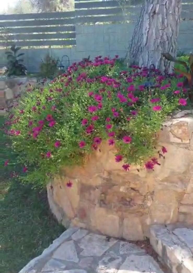 Дом / Вилла, Греция, Пелопоннес, Коринф, 485 000 € фото 12