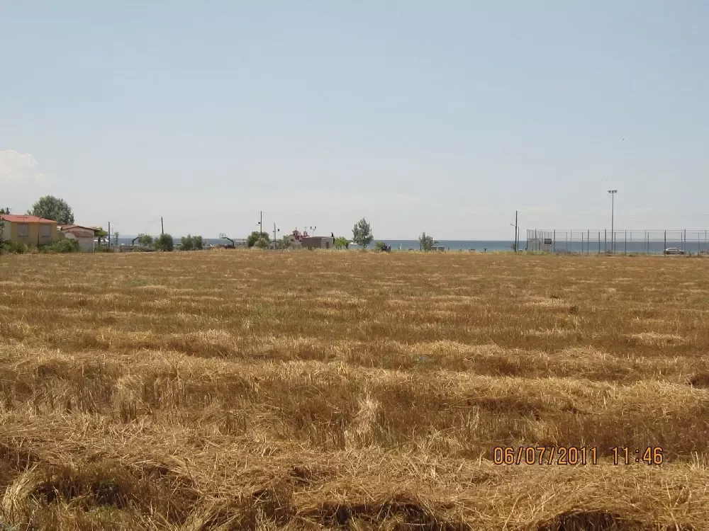 Земля, Греция, Халкидики, Кассандра, 2 500 000 € фото 5