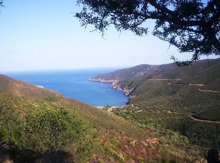 Земля, Греция, Халкидики, Ситония, 9 000 000 € фото 3