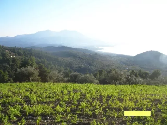 Земля, Греция, Пелопоннес, 275 000 € фото 10