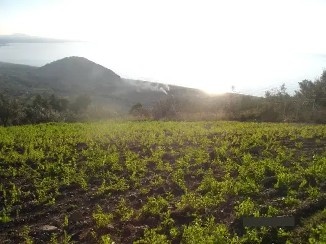 Земля, Греция, Пелопоннес, 275 000 € фото 2