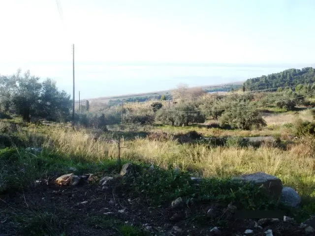 Земля, Греция, Пелопоннес, 275 000 € фото 7