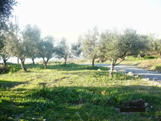 Земля, Греция, Пелопоннес, 275 000 € фото 8