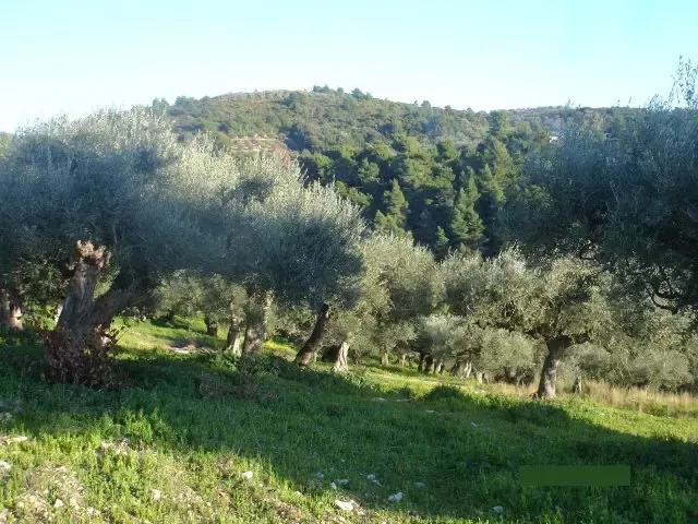 Земля, Греция, Пелопоннес, 275 000 € фото 9