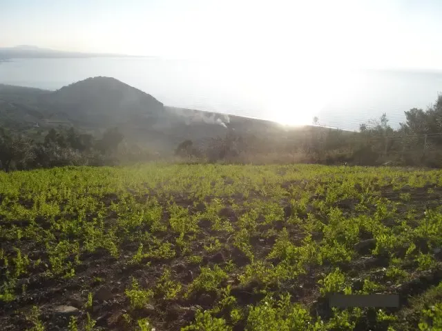 Земля, Греция, Пелопоннес, 270 000 € фото 2