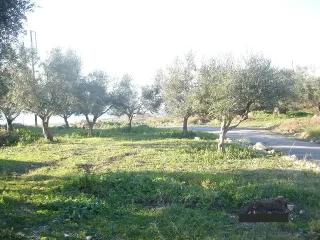 Земля, Греция, Пелопоннес, 270 000 € фото 3