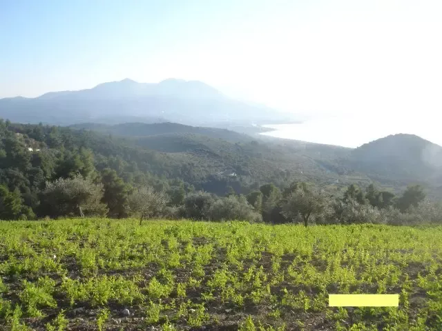 Земля, Греция, Пелопоннес, 270 000 € фото 5