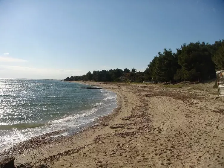 Земля, Греция, Халкидики, Ситония, 9 000 000 € фото 6