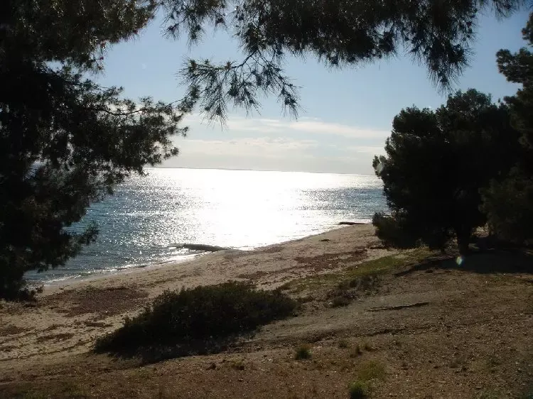 Земля, Греция, Халкидики, Ситония, 9 000 000 € фото 7