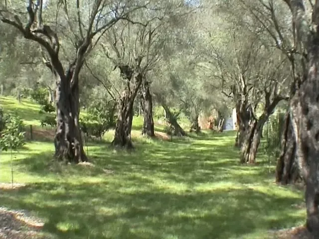 Дом / Вилла, Греция, Ионические острова, Корфу, 2 500 000 € фото 14