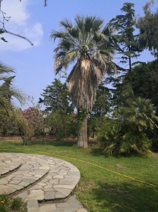 Дом, Греция, Халкидики, Ситония, 1 030 000 € фото 9