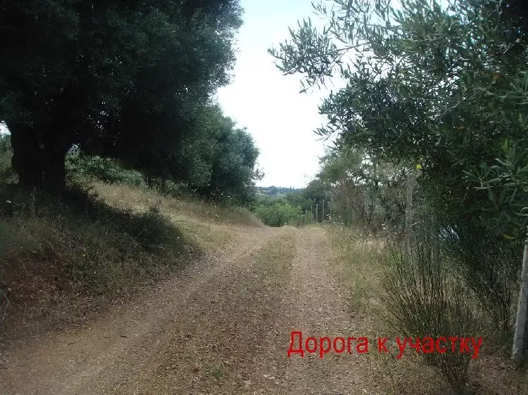 Земля, Греция, Халкидики, Кассандра, 230 000 € фото 15