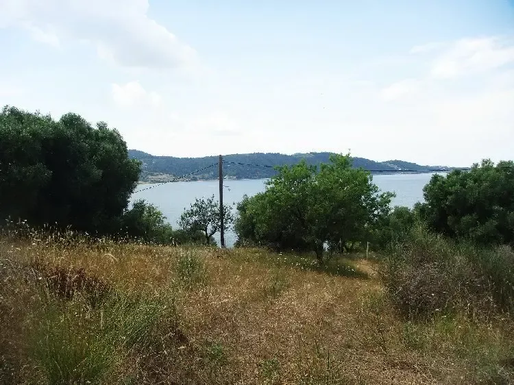 Земля, Греция, Халкидики, Кассандра, 230 000 € фото 3