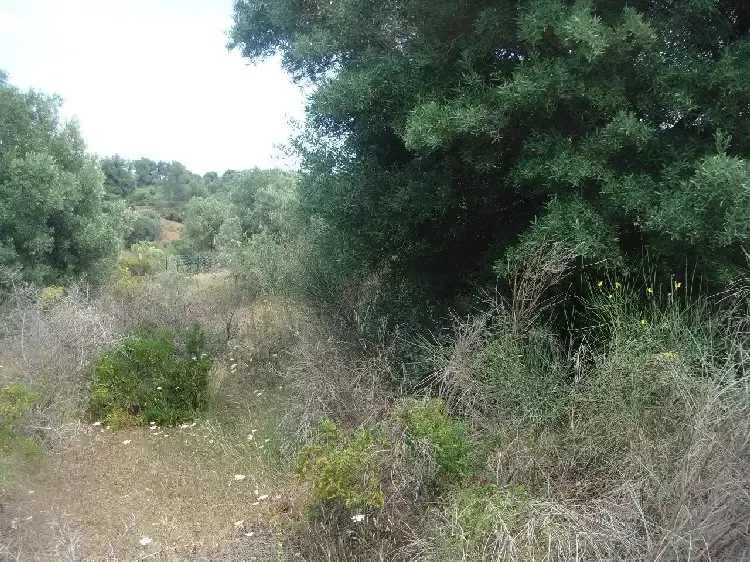 Земля, Греция, Халкидики, Кассандра, 230 000 € фото 7