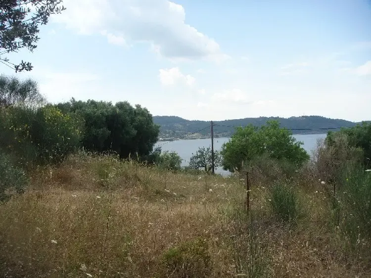 Земля, Греция, Халкидики, Кассандра, 230 000 € фото 8