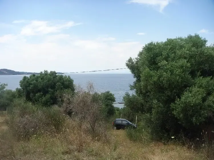 Земля, Греция, Халкидики, Кассандра, 230 000 € фото 9