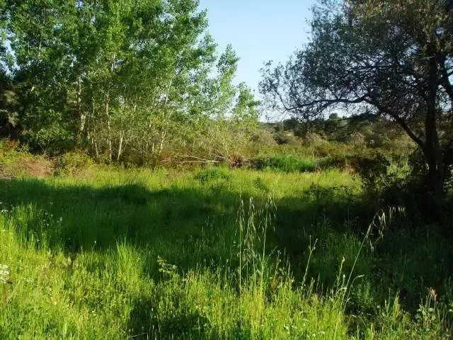 Земля, Греция, Халкидики, Ситония фото 9