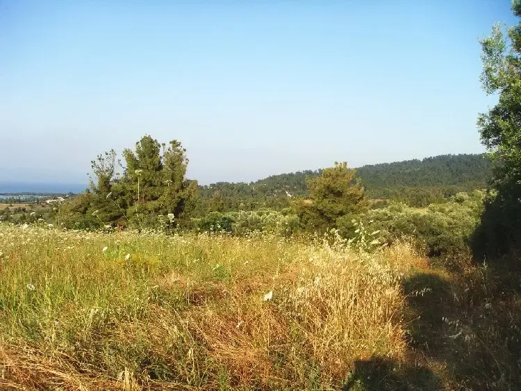 Земля, Греция, Халкидики, Кассандра, 360 000 € фото 11