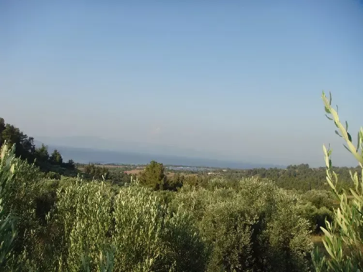 Земля, Греция, Халкидики, Кассандра, 360 000 € фото 2