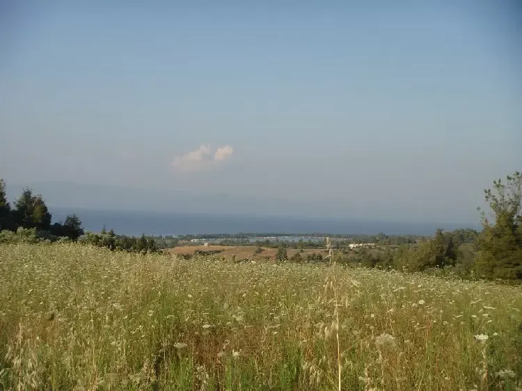 Земля, Греция, Халкидики, Кассандра, 360 000 € фото 3