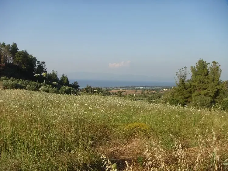 Земля, Греция, Халкидики, Кассандра, 360 000 € фото 5