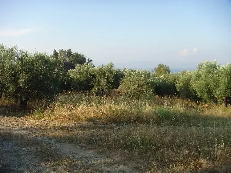 Земля, Греция, Халкидики, Кассандра, 360 000 € фото 7