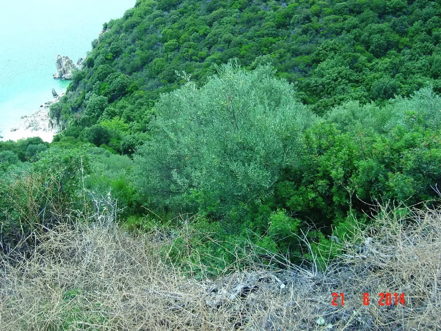 Земля, Греция, Халкидики, Ситония, 450 000 € фото 4