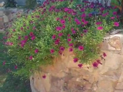 Дом / Вилла, Греция, Пелопоннес, Коринф, 485 000 € фото 12