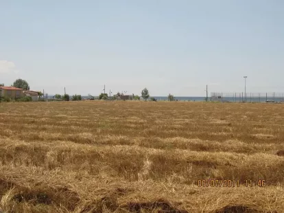 Земля, Греция, Халкидики, Кассандра, 2 500 000 € фото 5