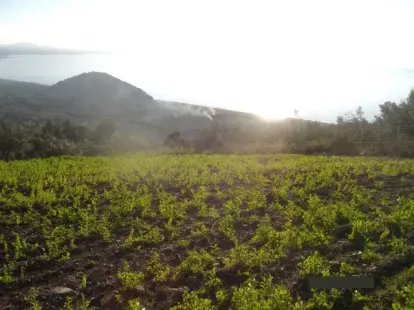 Земля, Греция, Пелопоннес, 275 000 € фото 2