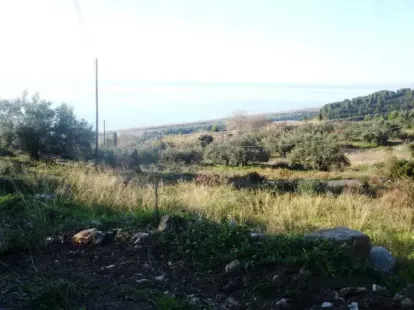 Земля, Греция, Пелопоннес, 275 000 € фото 7