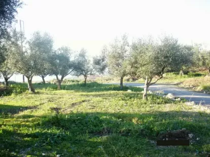 Земля, Греция, Пелопоннес, 275 000 € фото 8