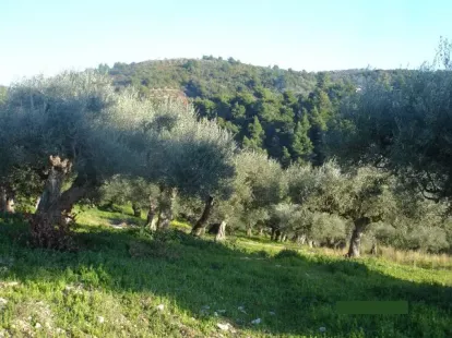 Земля, Греция, Пелопоннес, 275 000 € фото 9