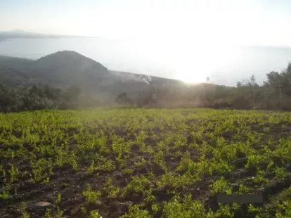 Земля, Греция, Пелопоннес, 270 000 € фото 2