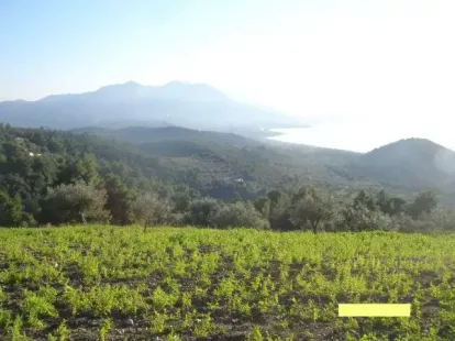 Земля, Греция, Пелопоннес, 270 000 € фото 5