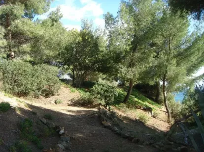 Земля, Греция, Халкидики, Ситония, 9 000 000 € фото 8