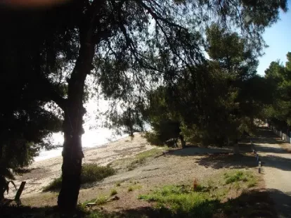 Земля, Греция, Халкидики, Ситония, 9 000 000 € фото 9