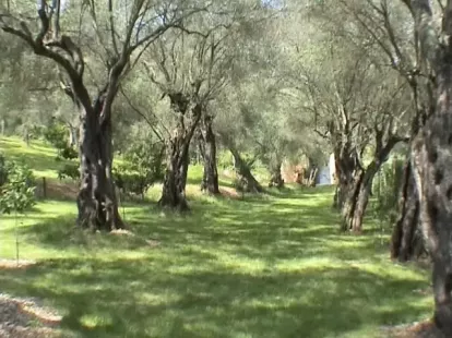 Дом / Вилла, Греция, Ионические острова, Корфу, 2 500 000 € фото 14