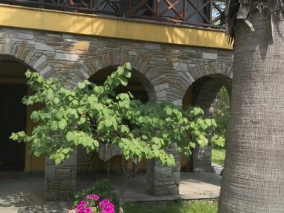 Дом, Греция, Халкидики, Ситония, 1 030 000 € фото 7