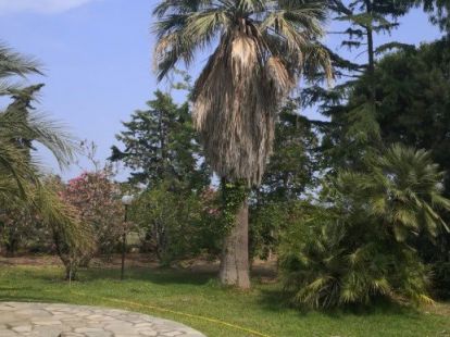 Дом, Греция, Халкидики, Ситония, 1 030 000 € фото 9